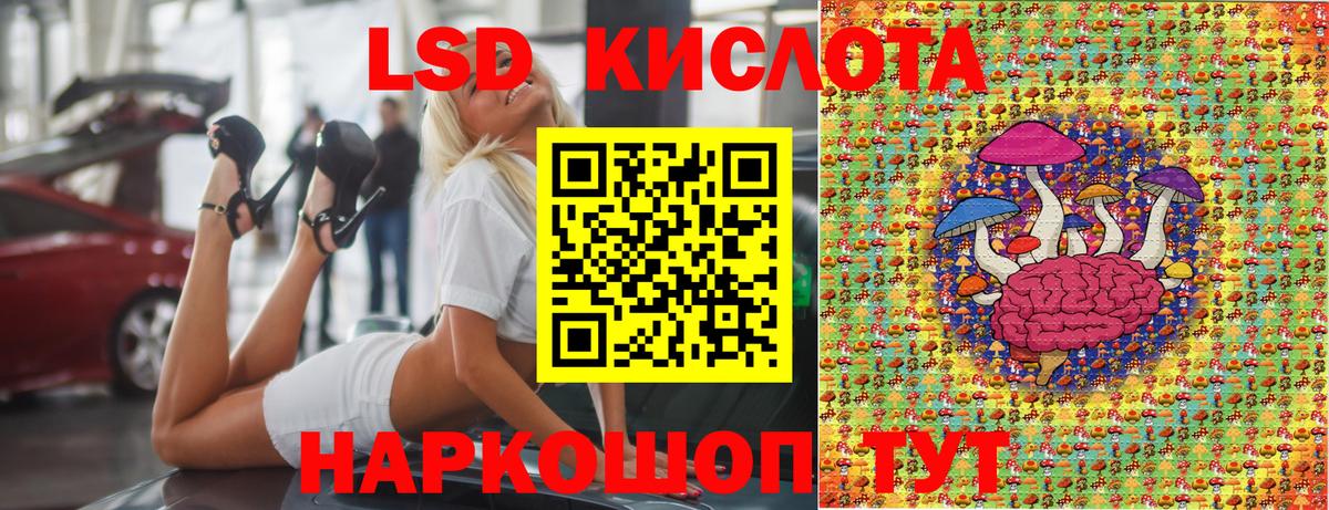 где купить наркоту  Вход с VPN  Дедовск  Наркотические марки 1,5мг 
