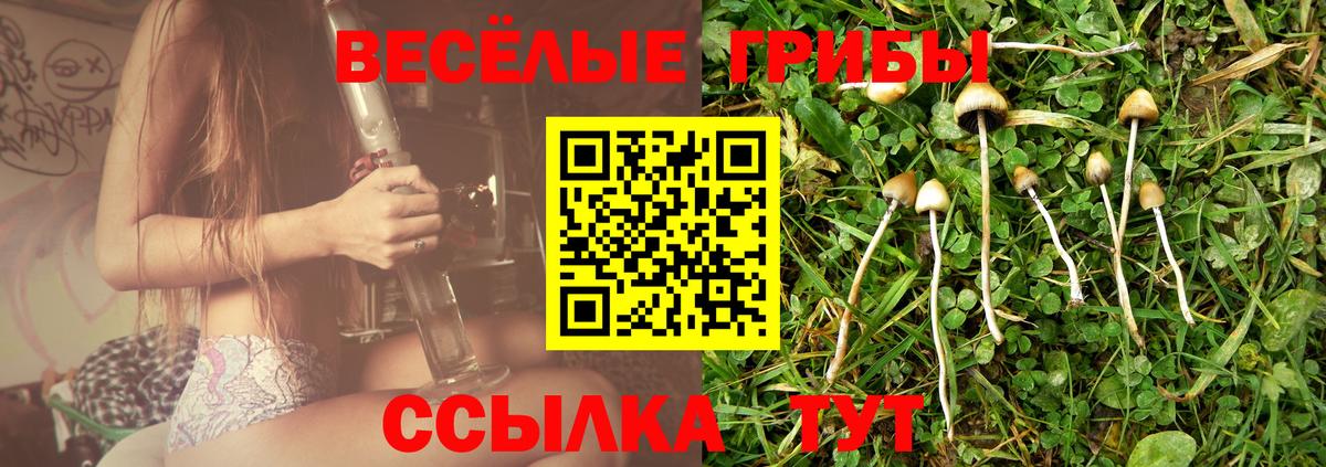 купить наркотики цена  Псилоцибиновые грибы MAGIC MUSHROOMS  Вход с VPN  Дедовск 